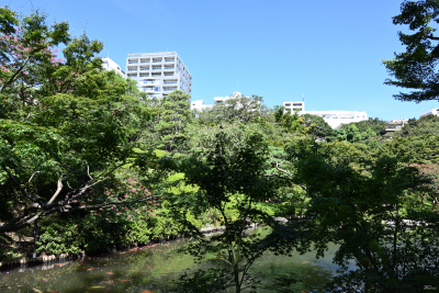 Новая статья: Полнокадровые беззеркальные камеры Nikon Z6 и Z7: первые впечатления Новая статья: Полнокадровые беззеркальные камеры Nikon Z6 и Z7: первые впечатления