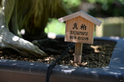 Новая статья: Полнокадровые беззеркальные камеры Nikon Z6 и Z7: первые впечатления Новая статья: Полнокадровые беззеркальные камеры Nikon Z6 и Z7: первые впечатления