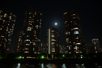 Новая статья: Полнокадровые беззеркальные камеры Nikon Z6 и Z7: первые впечатления Новая статья: Полнокадровые беззеркальные камеры Nikon Z6 и Z7: первые впечатления