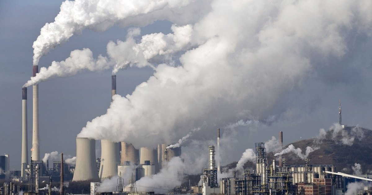 От грязного воздуха люди глупеют От грязного воздуха люди глупеют