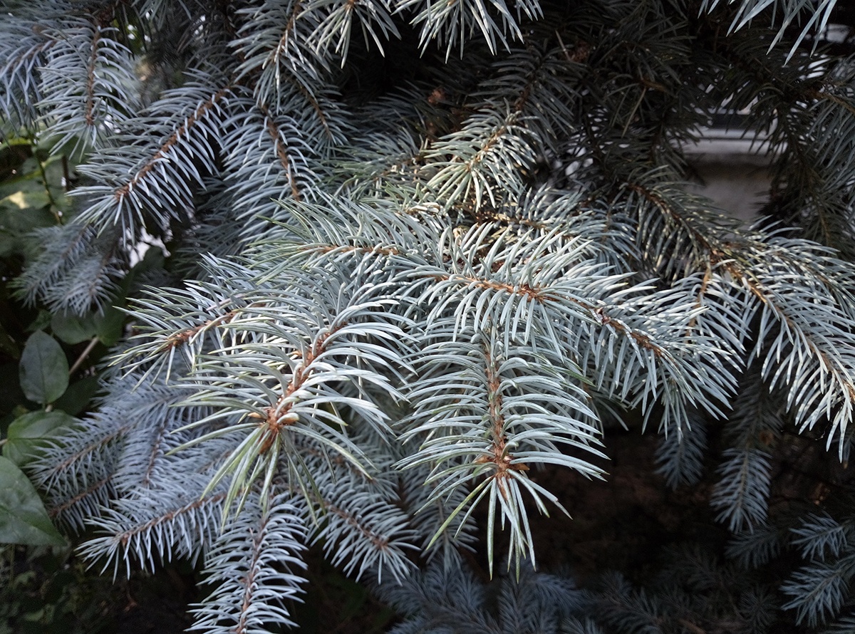 Обзор смартфона General Mobile GM8 Go: турецкий бюджетник с Android 8.1 Oreo Go Edition - 30 Обзор смартфона General Mobile GM8 Go: турецкий бюджетник с Android 8.1 Oreo Go Edition - 30