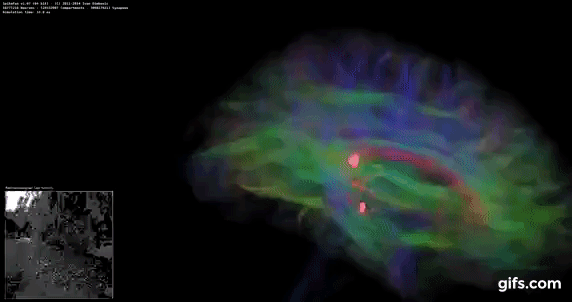 Монстры после каникул: AMD Threadripper 2990WX 32-Core и 2950X 16-Core (часть 3 — тесты) - 7 Монстры после каникул: AMD Threadripper 2990WX 32-Core и 2950X 16-Core (часть 3 — тесты) - 7