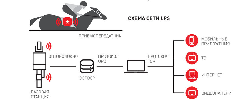 Как замеряют время на скачках: тайны хронометража