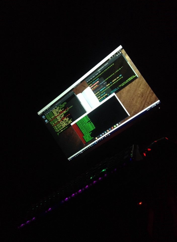 Как выжить охотнику за багами: ежедневная борьба за доход - 3 Как выжить охотнику за багами: ежедневная борьба за доход - 3