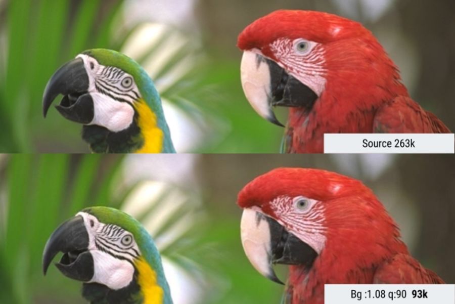 Оптимизация графики для веба: самое важное - 24 Оптимизация графики для веба: самое важное - 24