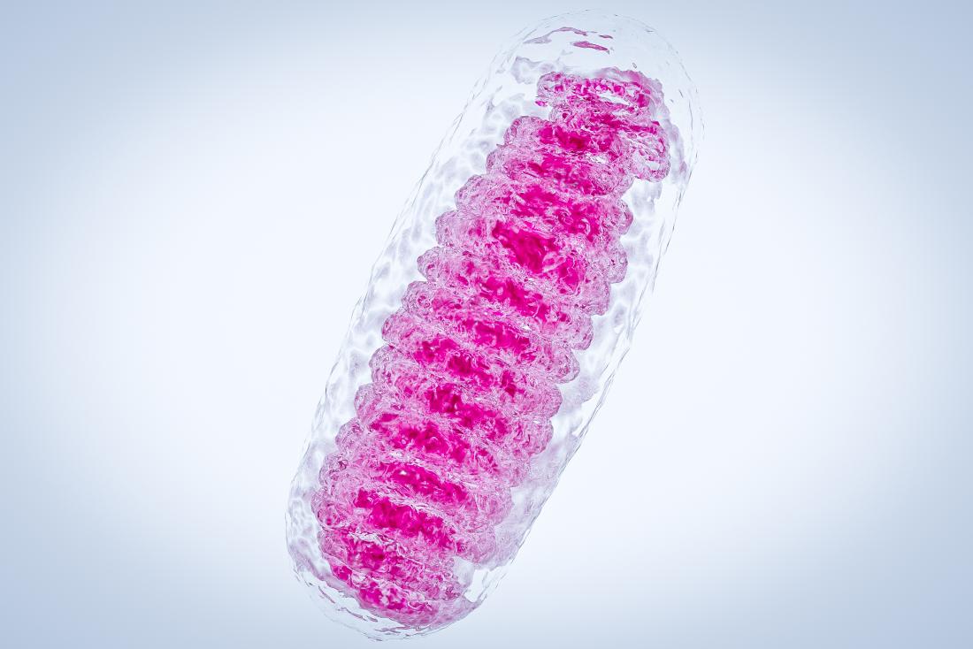 Война с болезнями: пересмотр старых представлений - 2 Война с болезнями: пересмотр старых представлений - 2