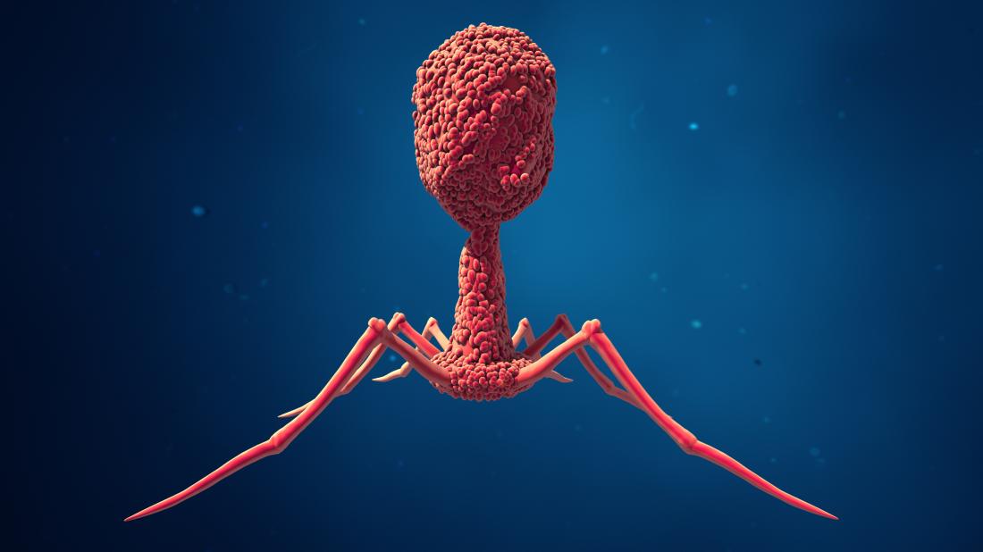 Война с болезнями: пересмотр старых представлений - 3 Война с болезнями: пересмотр старых представлений - 3