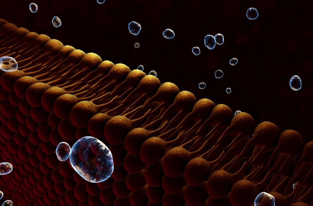Война с болезнями: пересмотр старых представлений - 4 Война с болезнями: пересмотр старых представлений - 4