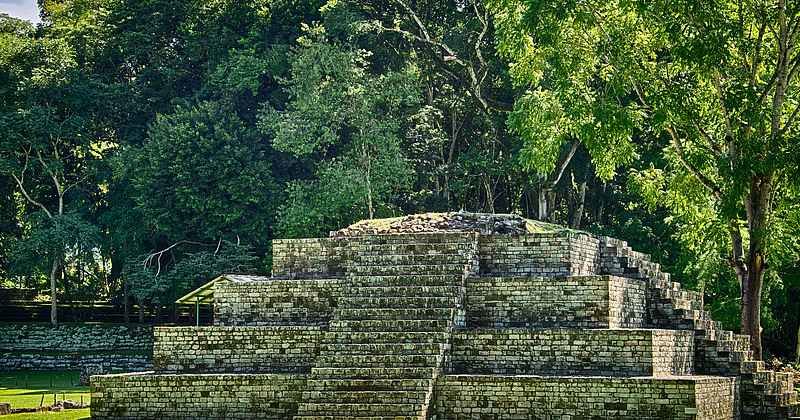 Древние майя захватывали диких животных для жертвоприношений Древние майя захватывали диких животных для жертвоприношений
