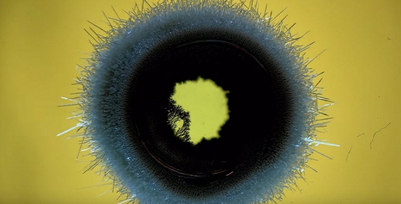 Видео дня: возможности видеокамеры iPhone XS - 1 Видео дня: возможности видеокамеры iPhone XS