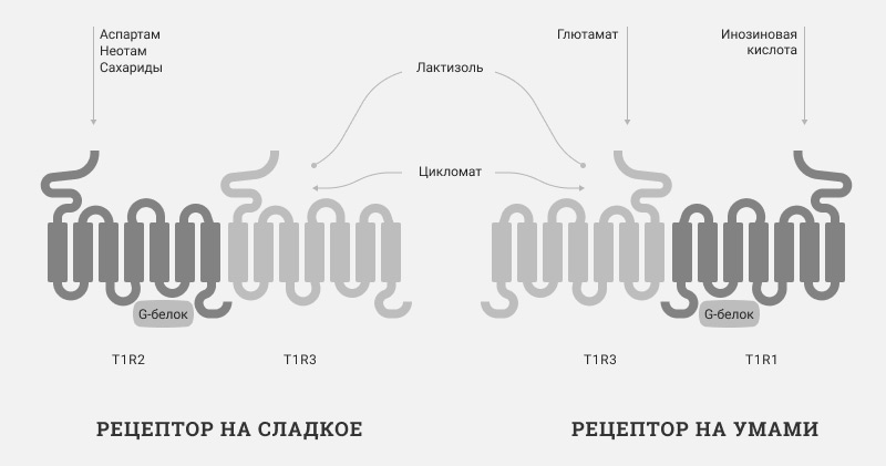 Почему мы любим мясо, или Полный курс мясной химии