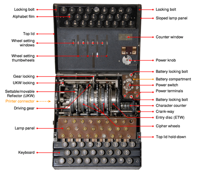 Укротительницы Enigma: Мэвис Бейти (Левер), Маргарет Рок - 3