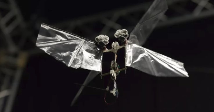 Nimble: робот, который летает как настоящее насекомое