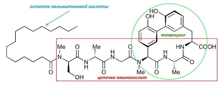 Впервые за 50 лет разработан новый класс антибиотиков, действующих на грамотрицательные бактерии - 4