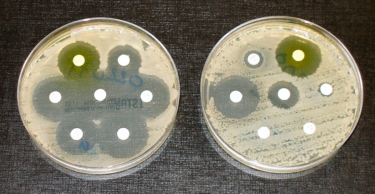 Впервые за 50 лет разработан новый класс антибиотиков, действующих на грамотрицательные бактерии - 1
