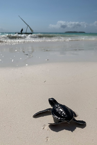 Профессиональный фотограф показал возможности камеры iPhone XS - 5 Профессиональный фотограф показал возможности камеры iPhone XS - 5