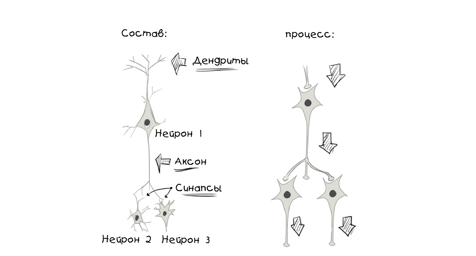 Создаём простую нейросеть - 6