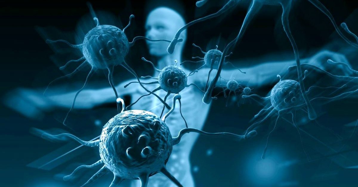 Командовать парадом будет бактерия: на что способны микробы в нашем теле Командовать парадом будет бактерия: на что способны микробы в нашем теле