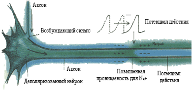 Компьютерное зрение и философия - 5 Компьютерное зрение и философия - 5