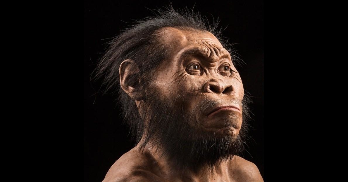 Что мы знаем о Homo naledi: 7 интересных фактов