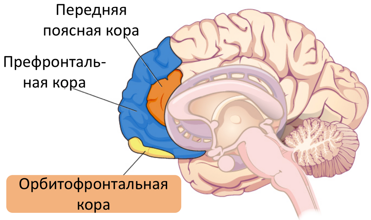 Как работает, и работает ли вообще разговорная психотерапия - 14