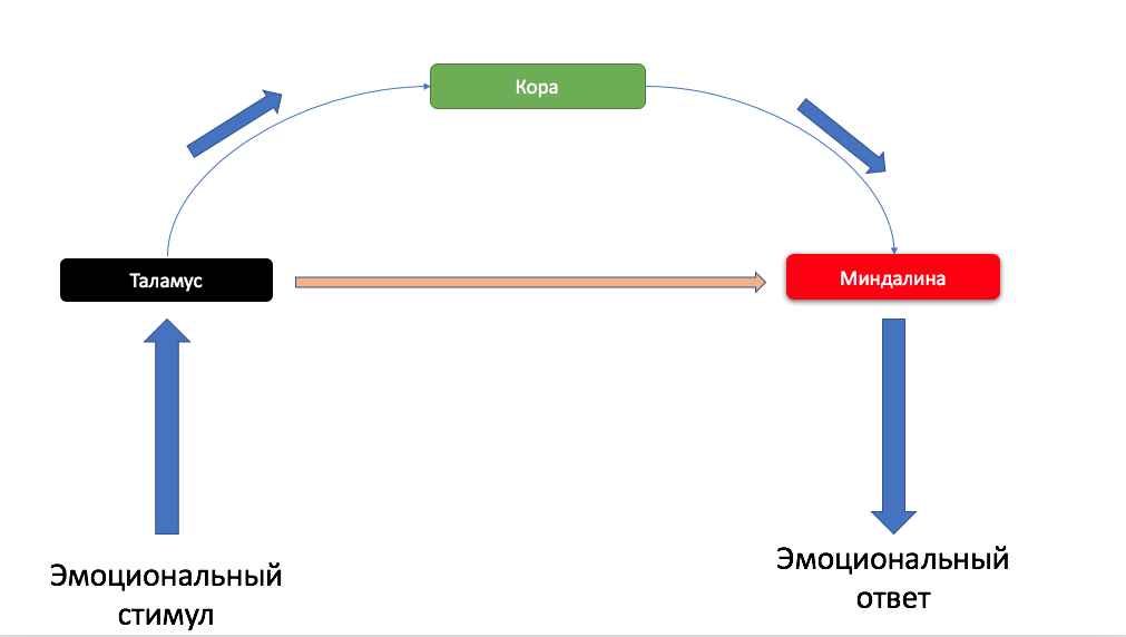 Как работает, и работает ли вообще разговорная психотерапия - 8