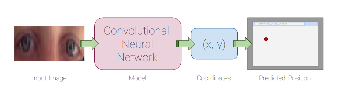 TensorFlow.js и clmtrackr.js: отслеживание направления взгляда пользователя в браузере - 3