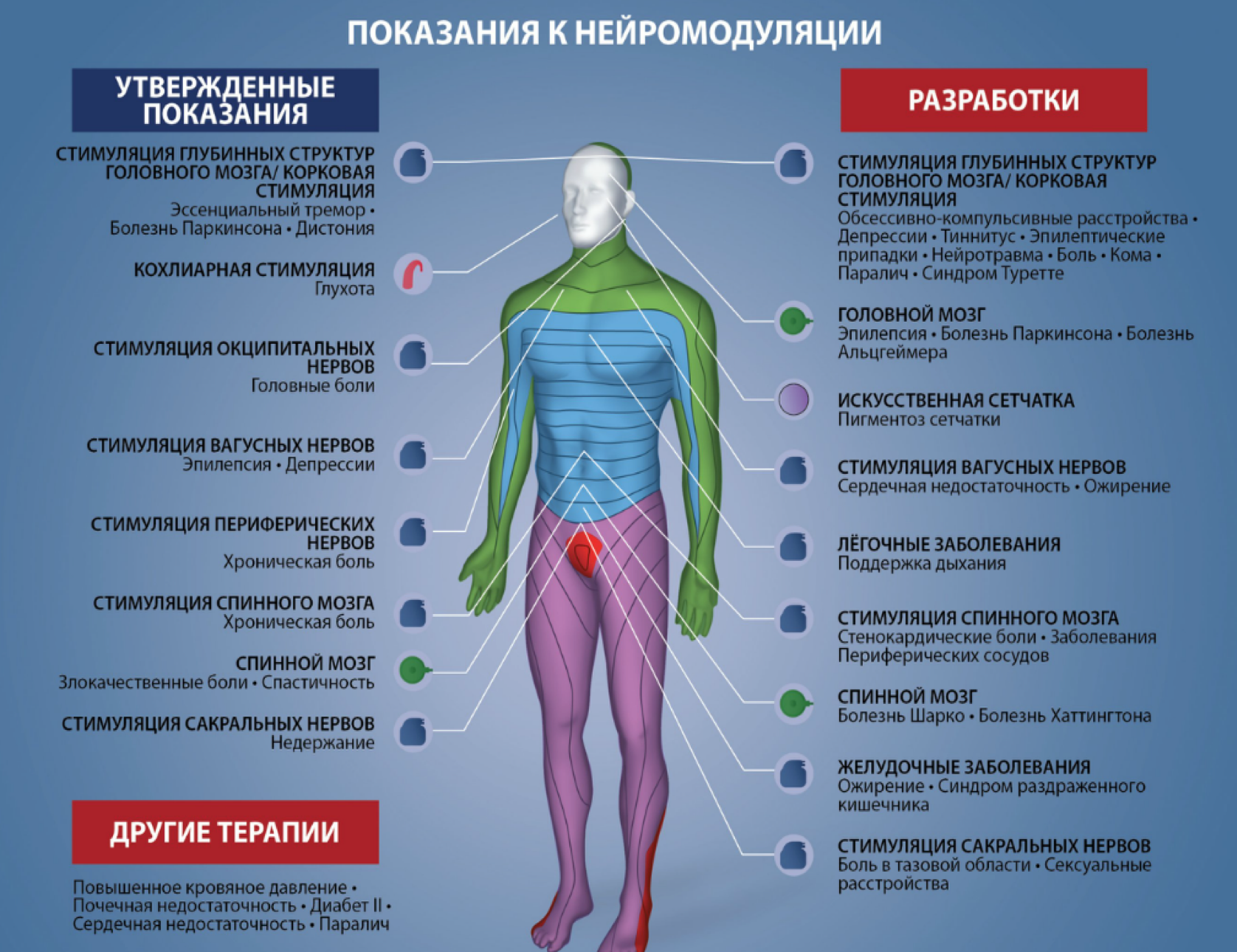 Остров киборгов: начинаем разработку инвазивной микроэлектроники - 2 image