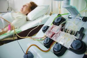 Чистая кровь — залог здоровья