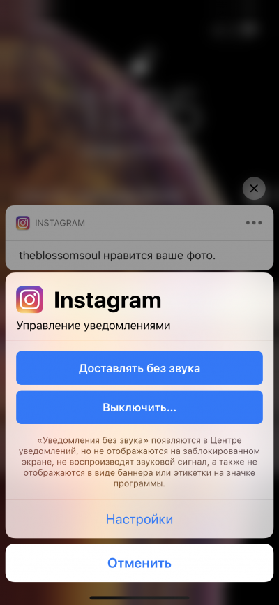 Новая статья: Обзор Apple iPhone XS Max: царь-смартфон