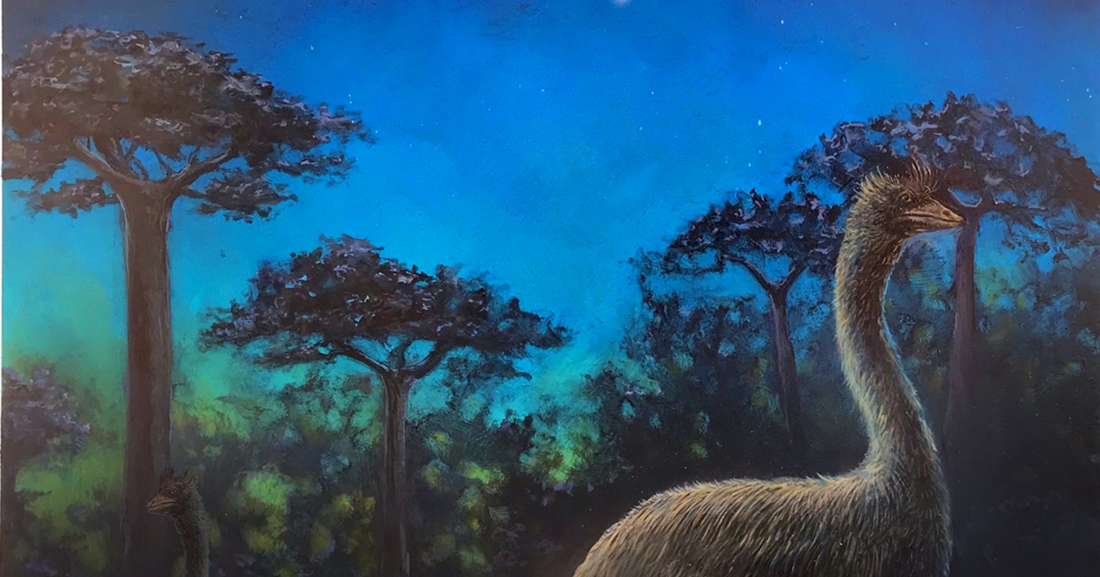 Крупнейшие птицы в истории были практически слепыми Крупнейшие птицы в истории были практически слепыми