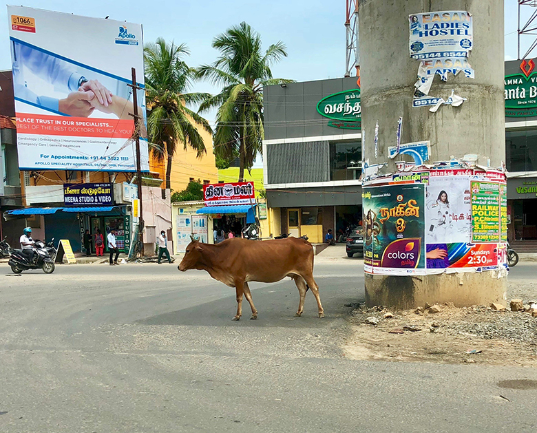 Релокация в Luxoft: как живется уехавшим - 5 Релокация в Luxoft: как живется уехавшим - 5