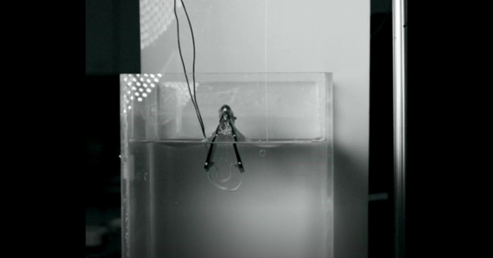 Ученые изобрели подводного прыгающего робота