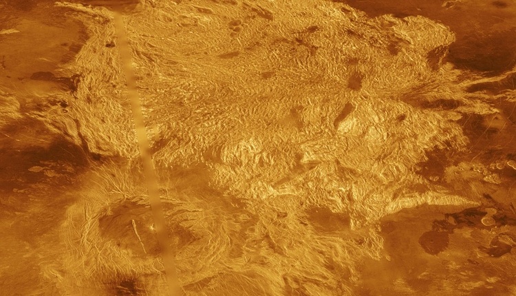 Над полярными областями Венеры существует озоновый слой
