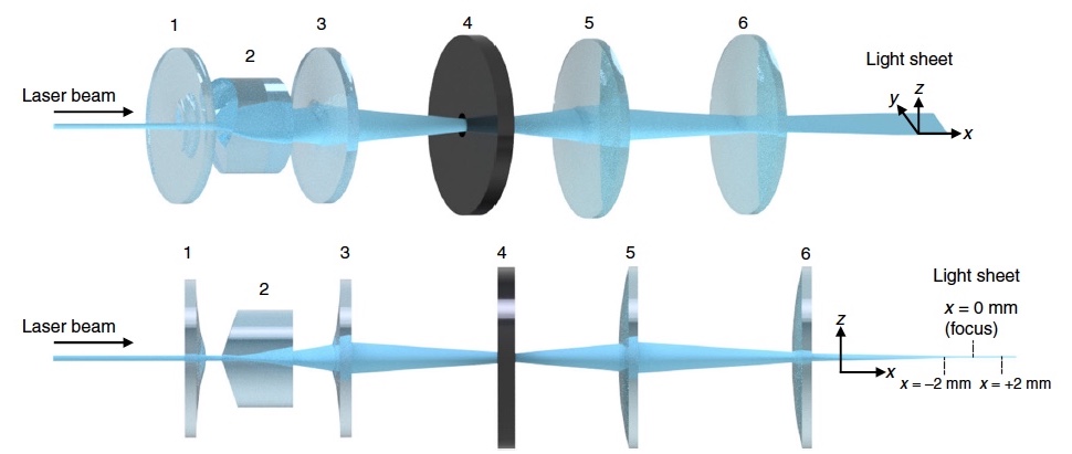 «Невидимые» мухи: новый метод изучения нервной системы посредством депигментации тканей - 6 «Невидимые» мухи: новый метод изучения нервной системы посредством депигментации тканей - 6