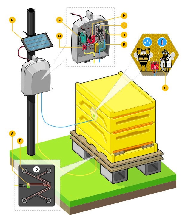 InternetOfBees