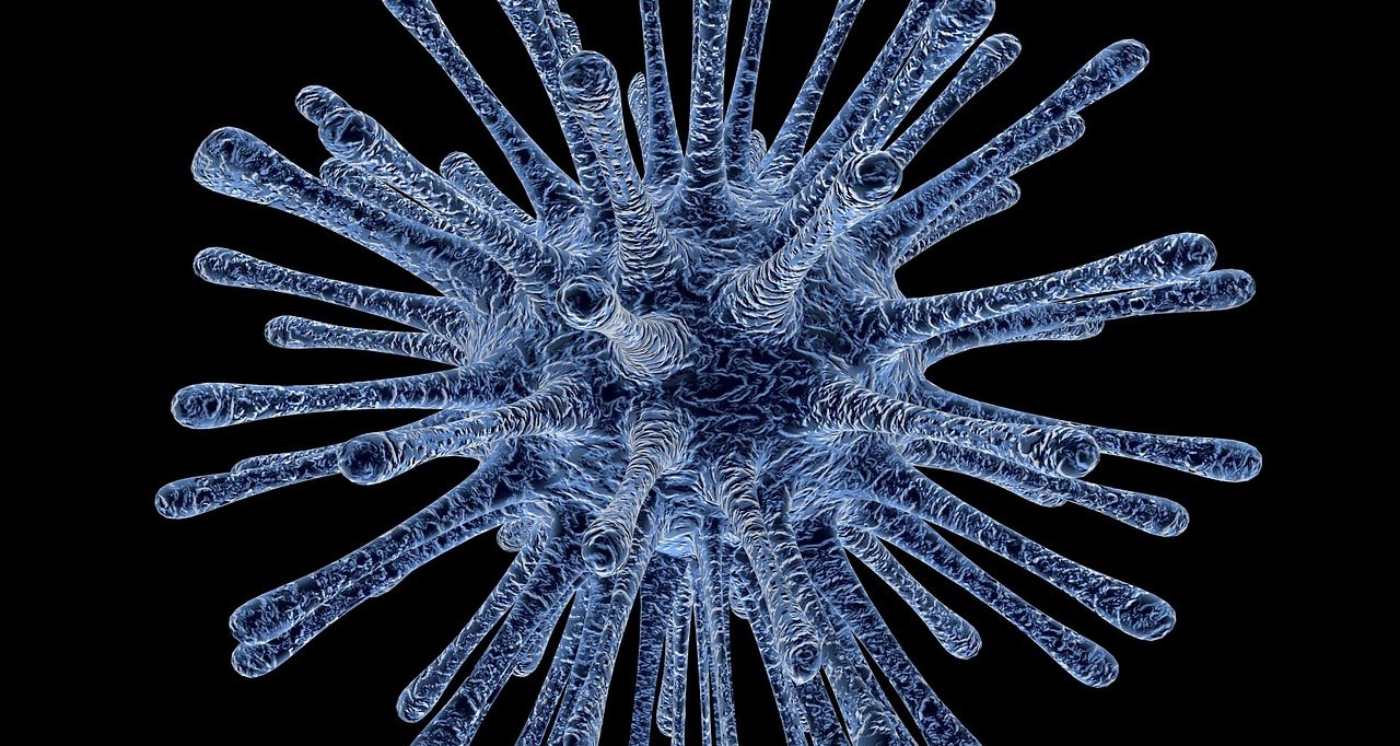 Почему шампиньоны проламывают асфальт