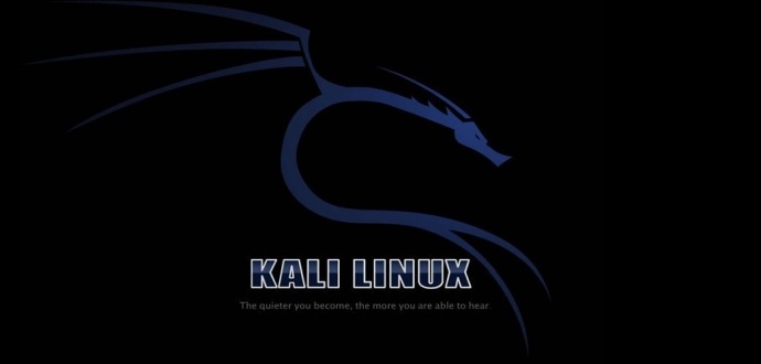 Kali Linux для начинающих - 1