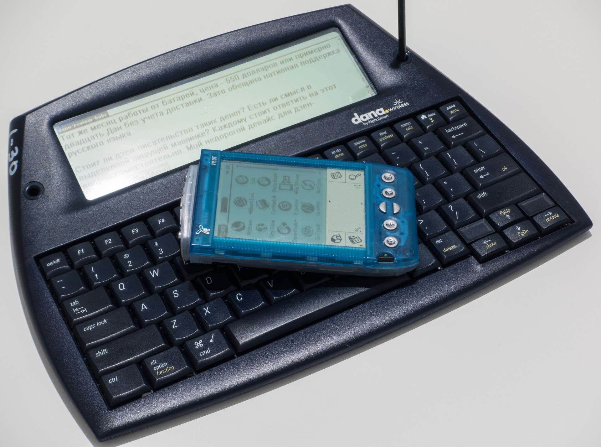 Древности: AlphaSmart Dana, дзен и искусство ухода за пальмой - 9