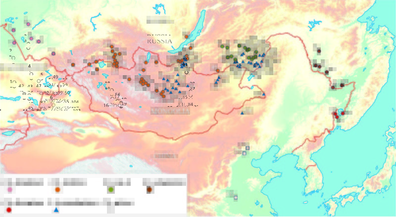 Барабинским хомячкам нашли родину