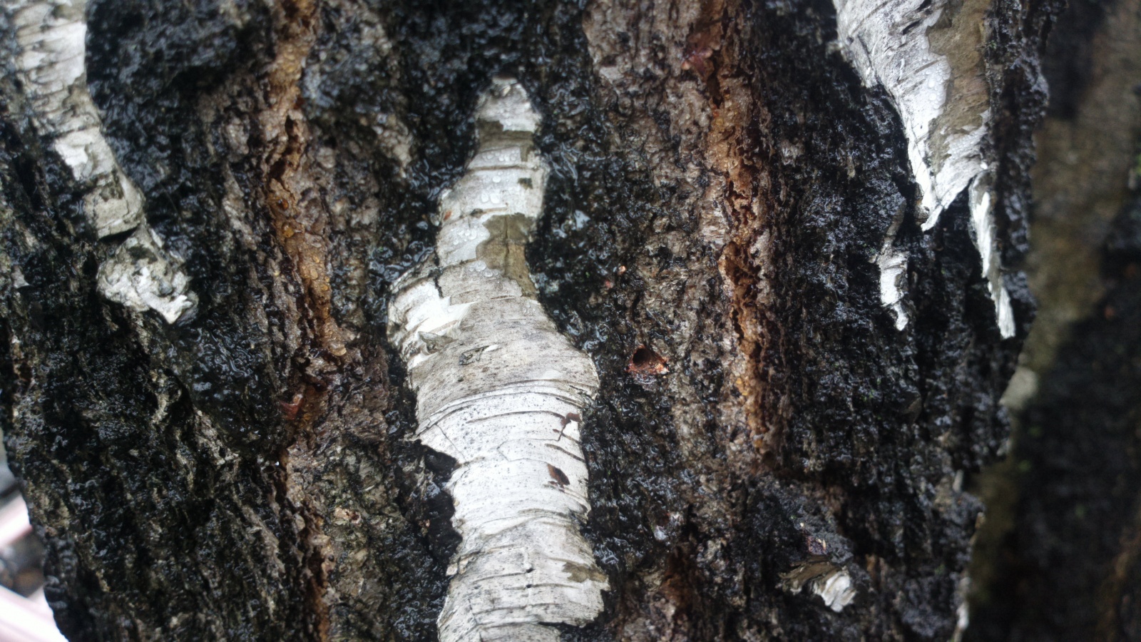 Усталость от одноразовых вещей. Или ода А.С. Макаренко - 19 Усталость от одноразовых вещей. Или ода А.С. Макаренко - 19