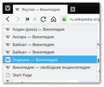 Vivaldi 2.2 — Количество, переходящее в качество - 10