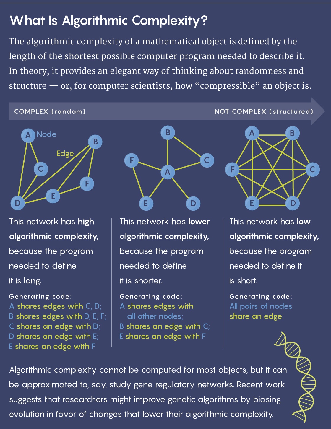 В основе скорости хода эволюции может лежать математическая простота - 2 В основе скорости хода эволюции может лежать математическая простота - 2