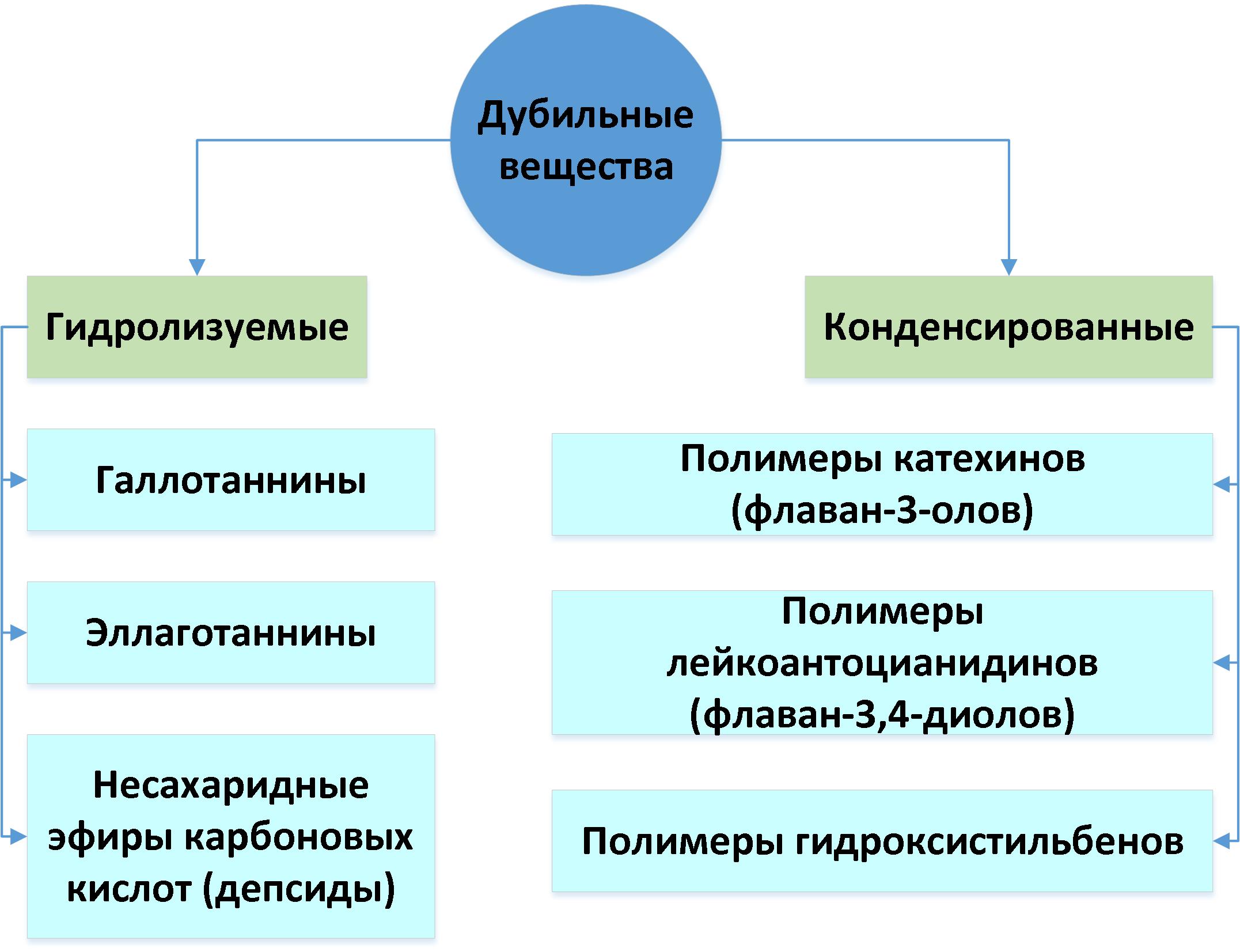 Хурма. Инструкция по употреблению - 8