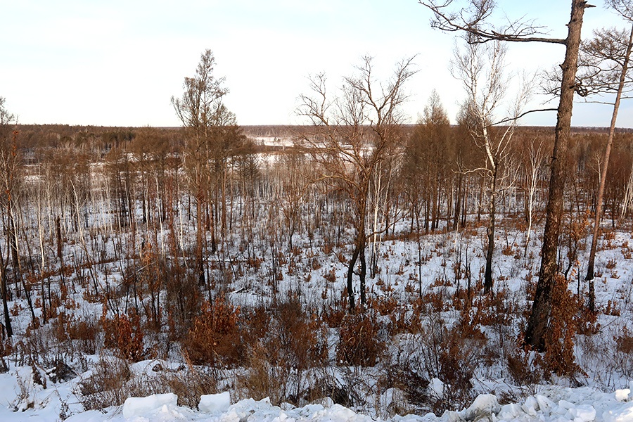 Пуск ракеты с Восточного своими глазами - 7