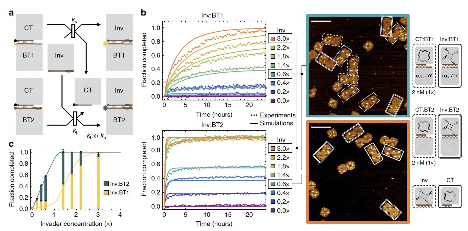 Крестики-нолики: демонстрация управляемого процесса реконфигурации ДНК структур - 6 Крестики-нолики: демонстрация управляемого процесса реконфигурации ДНК структур - 6