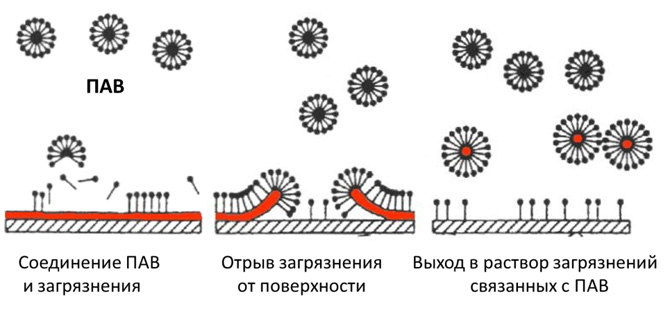 Заметки фитохимика. Банановая шкурка наносит ответный удар - 32