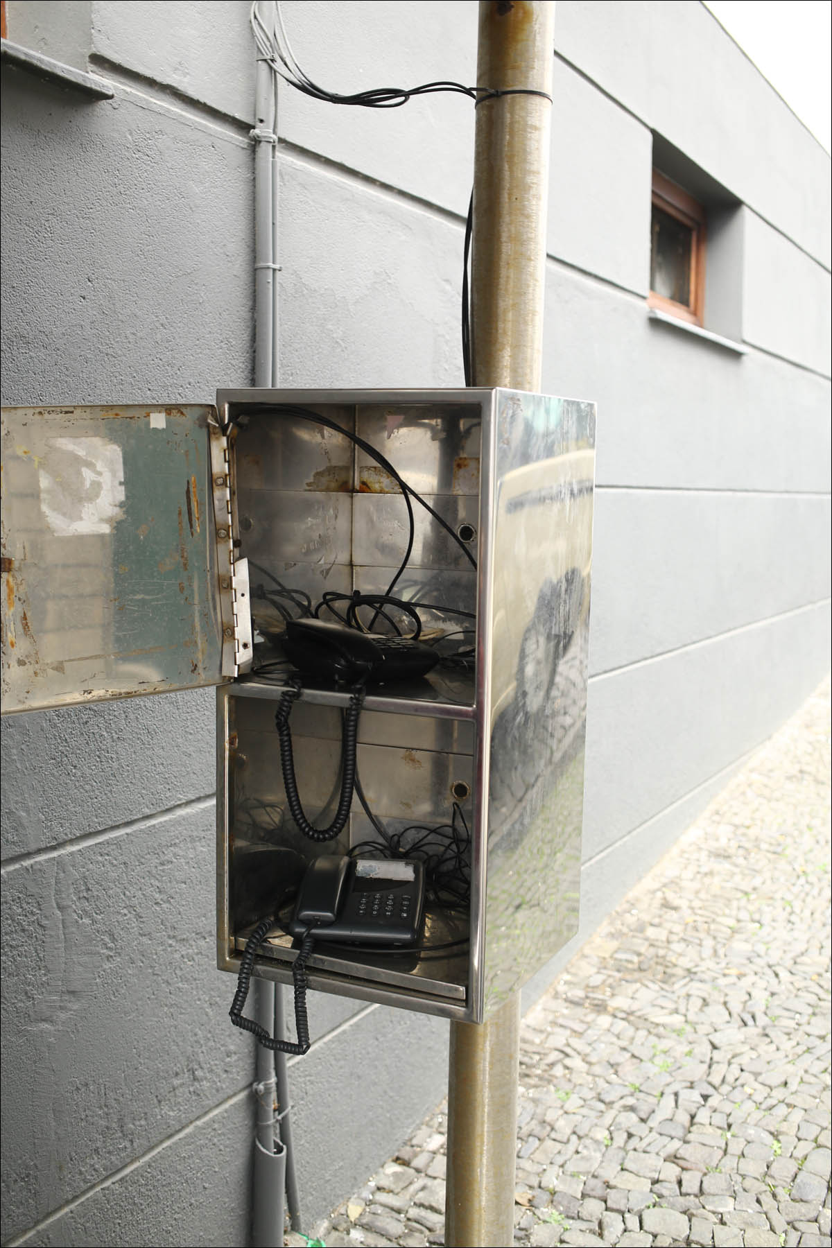 Азоры: последний резерв флоры в середине Атлантического океана - 52