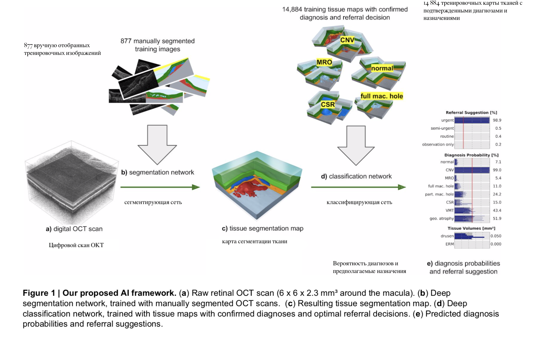 Больница Массачусетса и DeepMind независимо друг от друга приоткрыли «черный ящик» ИИ в медицине - 2 Больница Массачусетса и DeepMind независимо друг от друга приоткрыли «черный ящик» ИИ в медицине - 2
