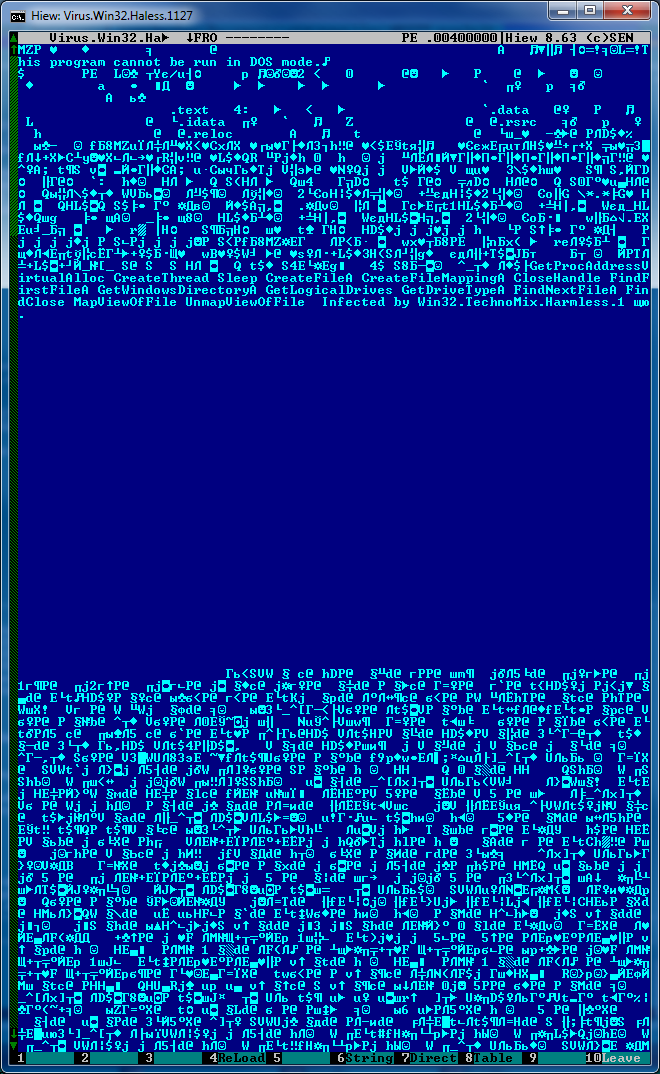 Virus.Win32.Haless.1127